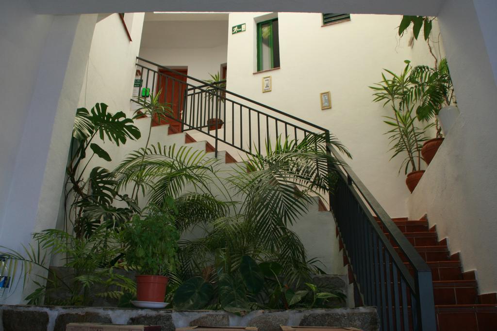 La Palma Hostel By Pension Central Фуенкальєнте-де-ла-Пальма Екстер'єр фото